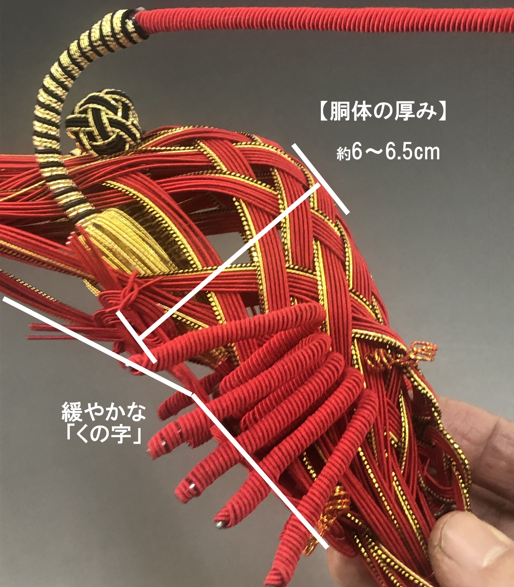 正月飾り水引・鏡餅「伊勢海老」横からのサイズ
