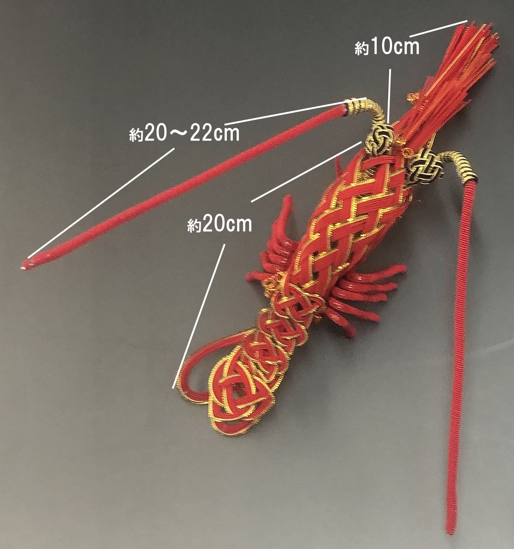 正月飾り水引・鏡餅「伊勢海老」表側のサイズ