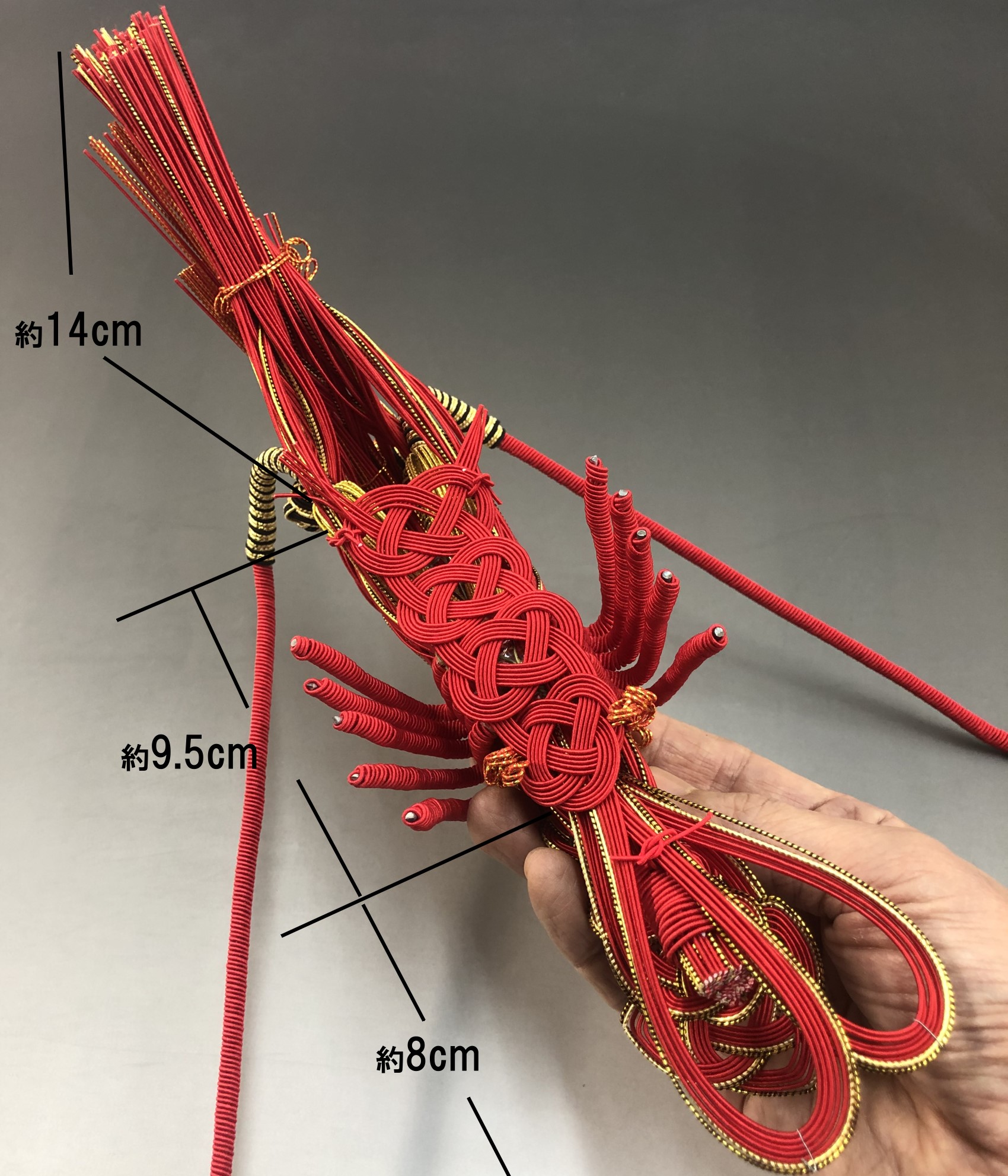 正月飾り水引・鏡餅「伊勢海老」裏側のサイズ
